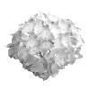 Эмодзи White Black Core