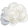 white fei