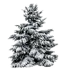 Эмодзи winter