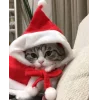 новогодние коты