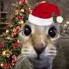 Эмодзи новогодние коты
