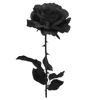 Эмодзи Gothic Veil Font
