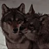 Эмодзи Wolfs