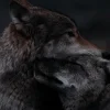 Эмодзи Wolfs
