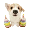 Эмодзи Животные