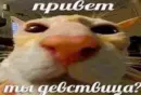 че та типа мемав ваших