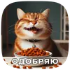 Стикер Cats | Котики