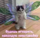 Стикер Котики
