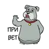 Стикер Фу-дог