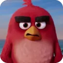 Angry Birds