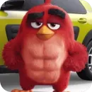 Стикер Angry Birds