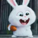 Стикер Animals 00 15