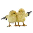 Стикер Animals Cute
