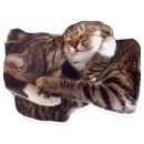 Стикер Animals Cute