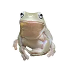 Стикер Animals world