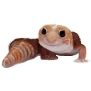 Стикер Animals world