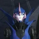 Arcee TFP