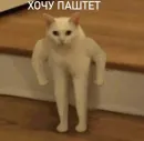 Memes | Мемы