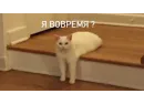 Стикер Memes | Мемы