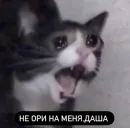 Стикер Memes | Мемы