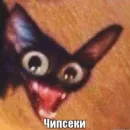 Стикер Memes | Мемы