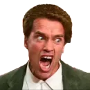 Стикер Schwarzenegger