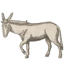 Стикер Art Animals