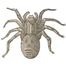 Стикер Art Animals