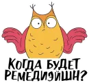 Стикер Assurance academy