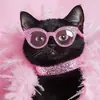 BIMBO ANIMALS