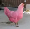 Стикер BIMBO ANIMALS