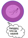 BOINCPROTEINE