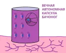 Стикер BOINCPROTEINE