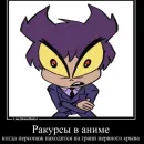 Стикер 13 карт