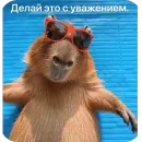 Стикер Bara