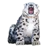 BarsFukuBaby
