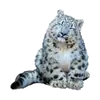 Стикер BarsFukuBaby