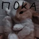 Стикер Зайчики на все случаи жизни