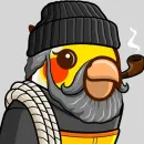 Стикер Bird