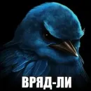 Birds Memes