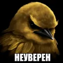 Стикер Birds Memes