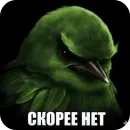 Стикер Birds Memes