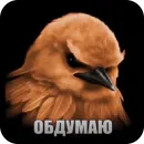 Стикер Birds Memes