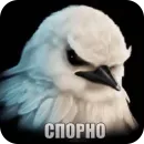 Стикер Birds Memes