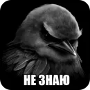 Стикер Birds Memes