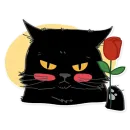 Black Cat