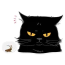 Стикер Black Cat