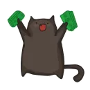 Black Cat