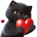 Черный котенок