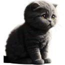 Стикер Черный котенок